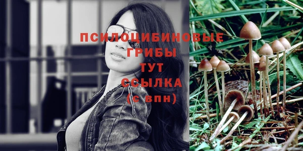 соль курить ск Карпинск