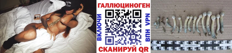 Купить Новодвинск Галлюциногенные грибы Cubensis