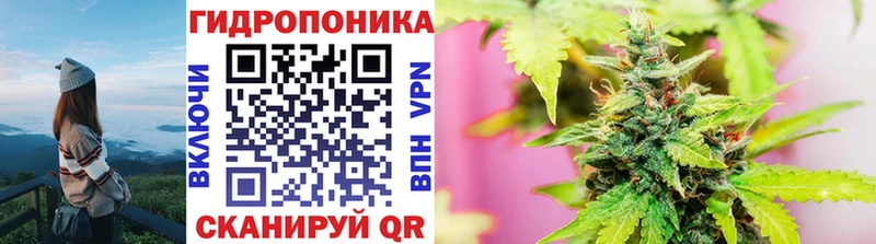 Канабис VHQ Новодвинск